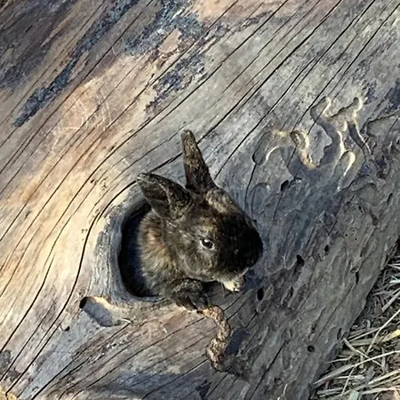 Haus Sonnblick أبتيناو