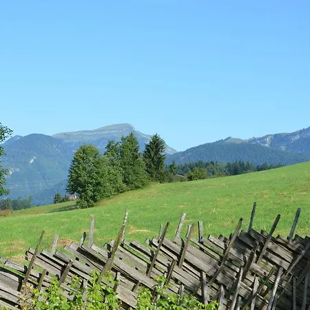 アパート Haus Sonnblick アプテナウ